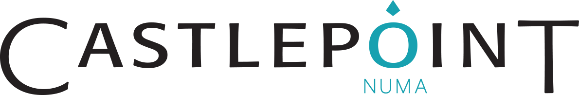 Castlepoint Studio Partners Limited